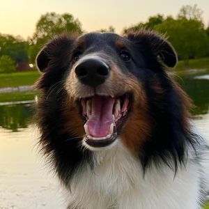 Meet your Posher, Erika